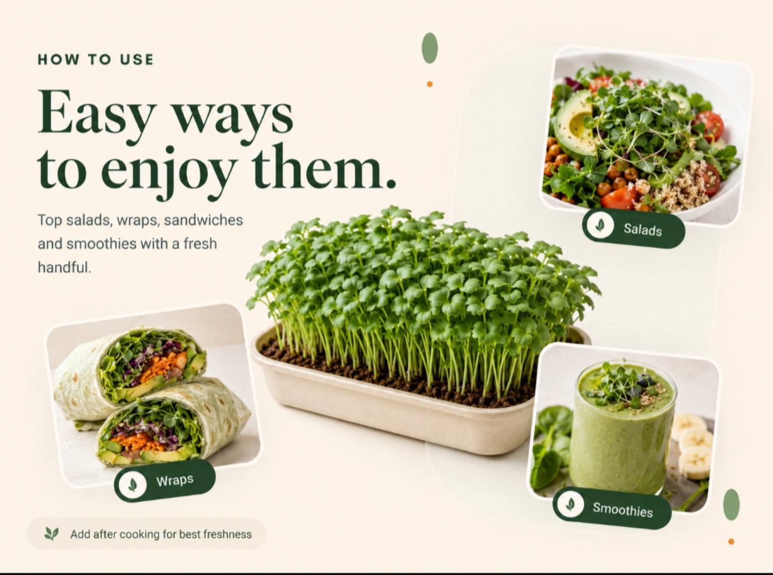 Easy ways to enjoy Kibo Bowl microgreens in salads, wraps and smoothies