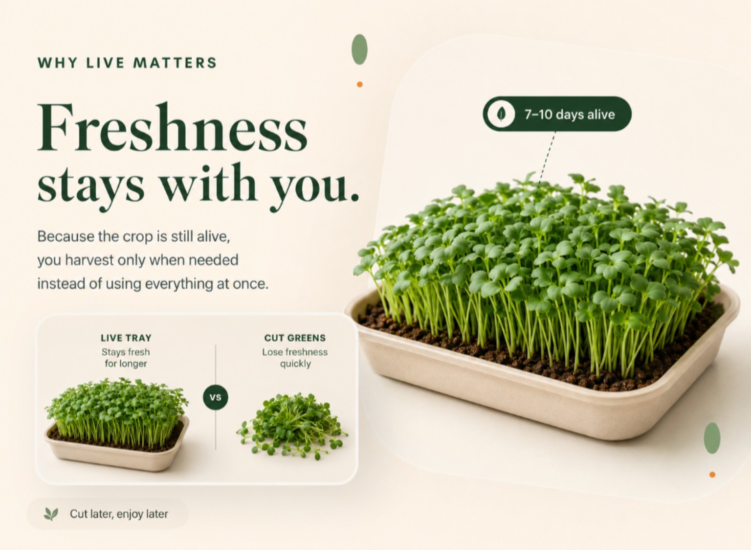 Kibo Bowl live tray freshness compared with cut greens
