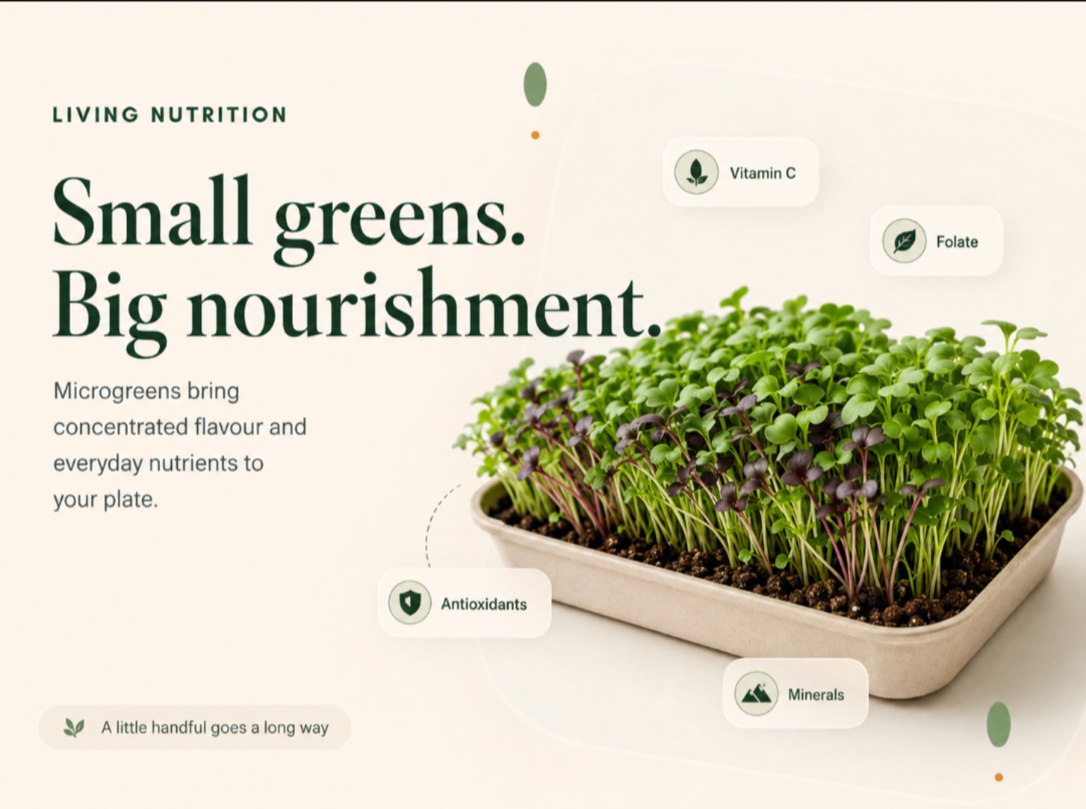 Kibo Bowl living microgreens with everyday nutrition highlights